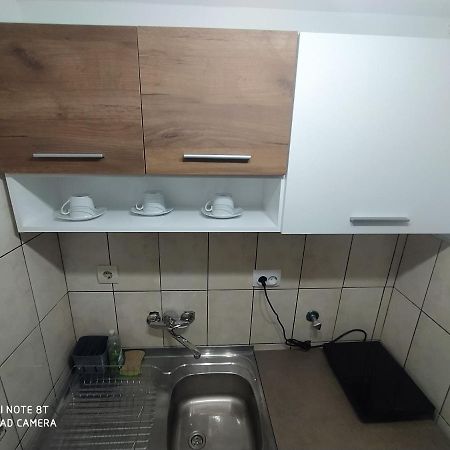 Apartman Studio Pavle I Petra Sremski Karlovci Exteriör bild