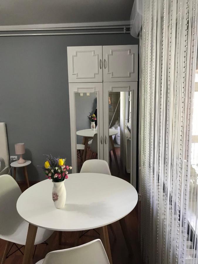 Apartman Studio Pavle I Petra Sremski Karlovci Exteriör bild