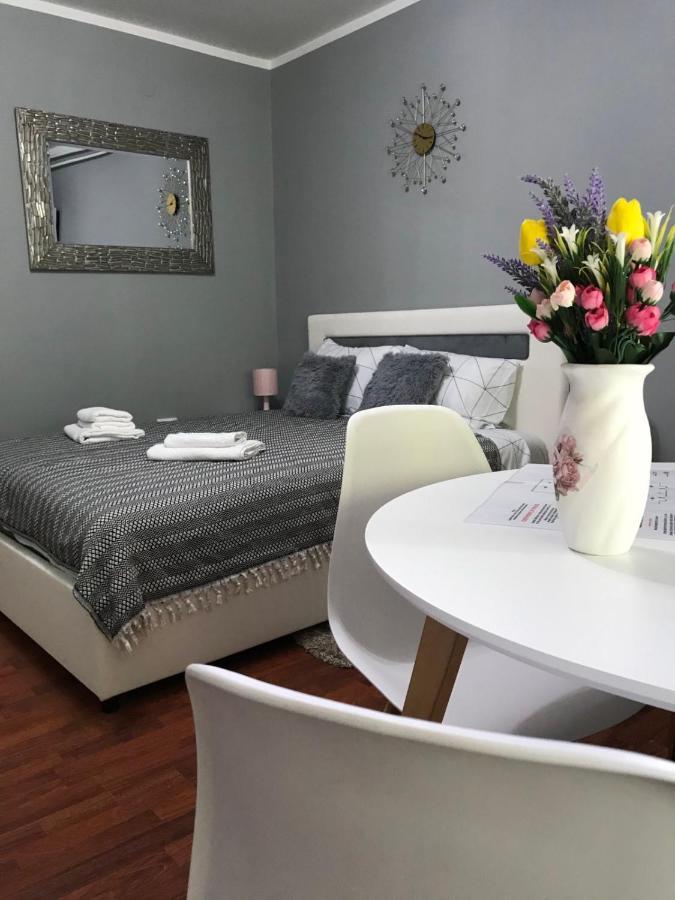 Apartman Studio Pavle I Petra Sremski Karlovci Exteriör bild