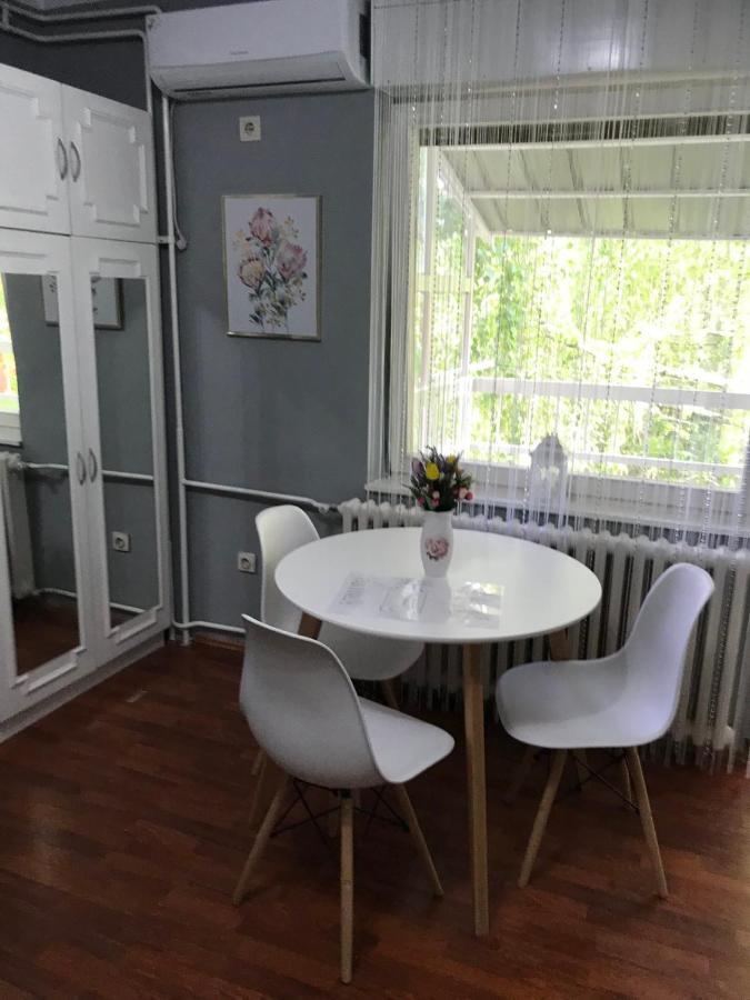 Apartman Studio Pavle I Petra Sremski Karlovci Exteriör bild