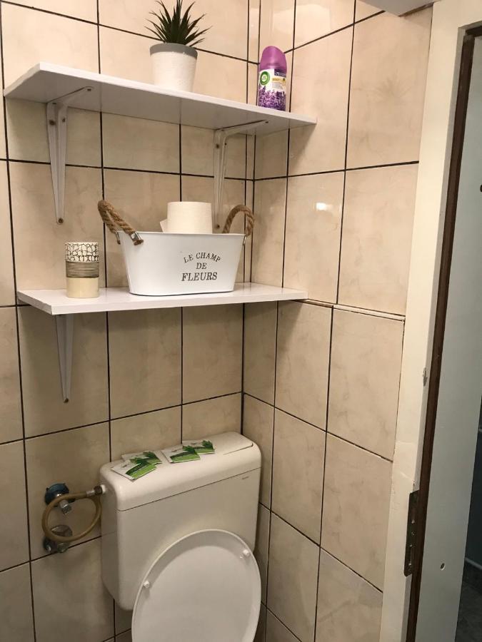 Apartman Studio Pavle I Petra Sremski Karlovci Exteriör bild