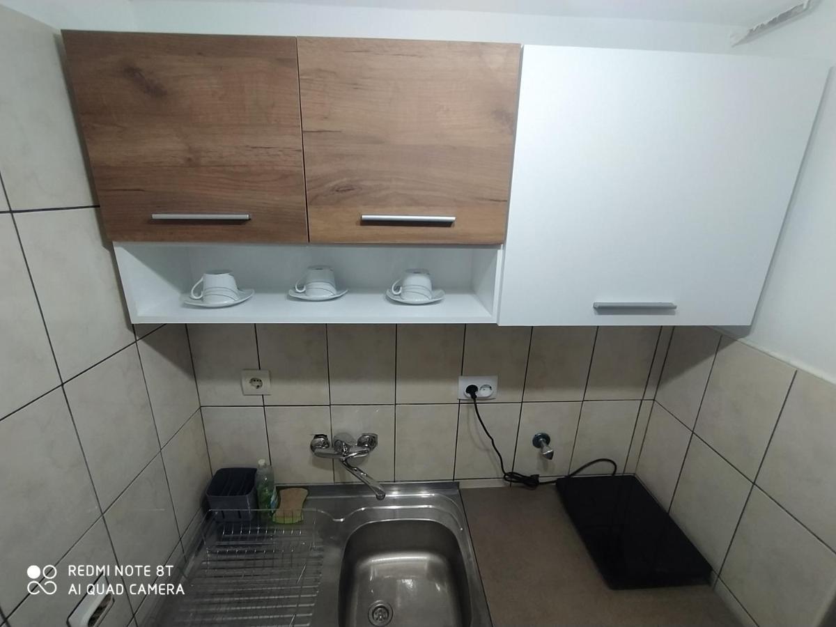 Apartman Studio Pavle I Petra Sremski Karlovci Exteriör bild